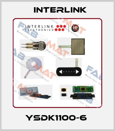 YSDK1100-6  Interlink