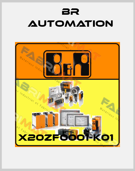 X20ZF0001-K01  Br Automation