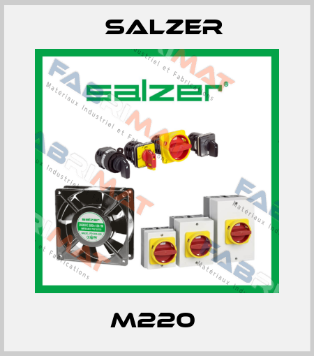 M220  Salzer