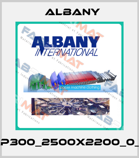 RP300_2500x2200_0_L Albany