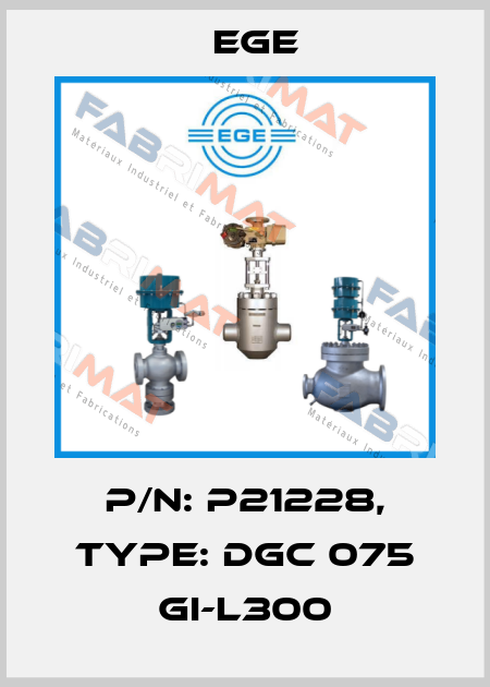 p/n: P21228, Type: DGC 075 GI-L300 Ege