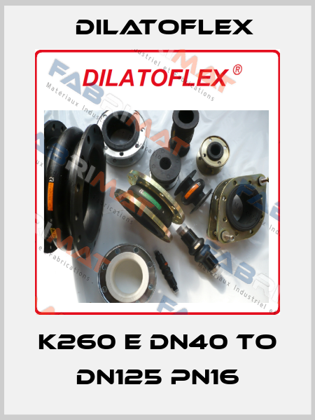 K260 E DN40 to DN125 PN16 DILATOFLEX