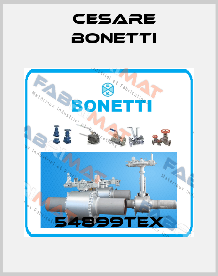 54899TEX Cesare Bonetti