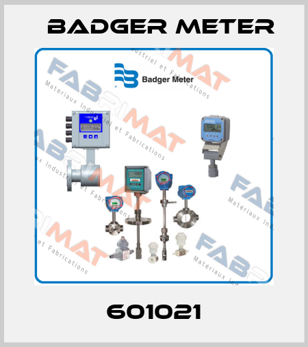 601021 Badger Meter