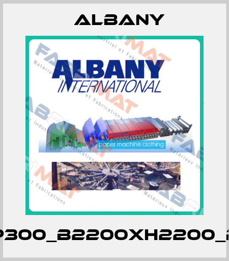RP300_B2200xH2200_RH Albany