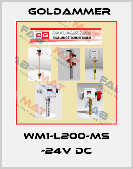 WM1-L200-MS -24V DC Goldammer