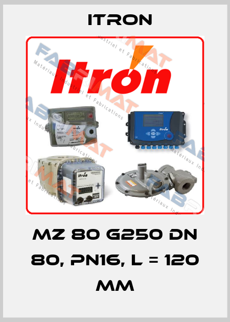 MZ 80 G250 DN 80, PN16, L = 120 mm Itron