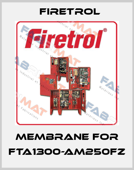 membrane for FTA1300-AM250FZ Firetrol