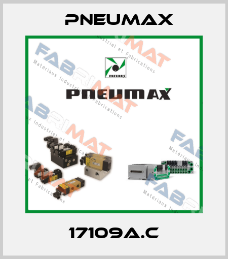 17109A.C Pneumax