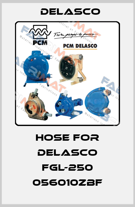 hose for DELASCO FGL-250 056010ZBF Delasco