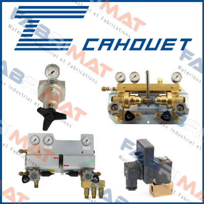 RV1101 Cahouet