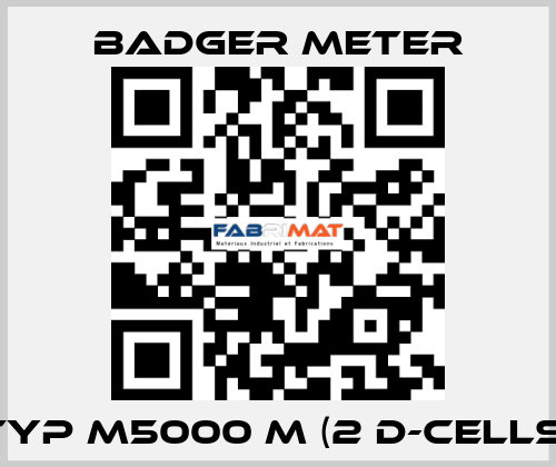 Typ M5000 M (2 D-Cells) Badger Meter