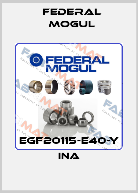 EGF20115-E40-Y INA Federal Mogul