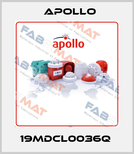19MDCL0036Q  Apollo