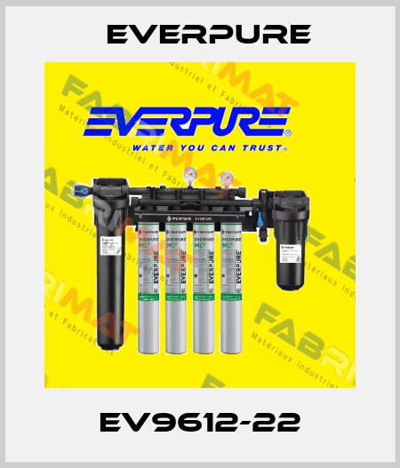EV9612-22 Everpure