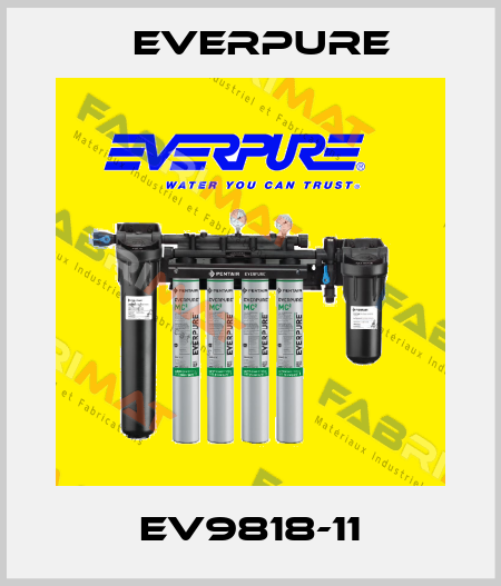 EV9818-11 Everpure