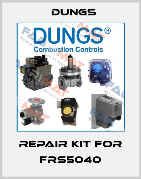 repair kit for FRS5040 Dungs