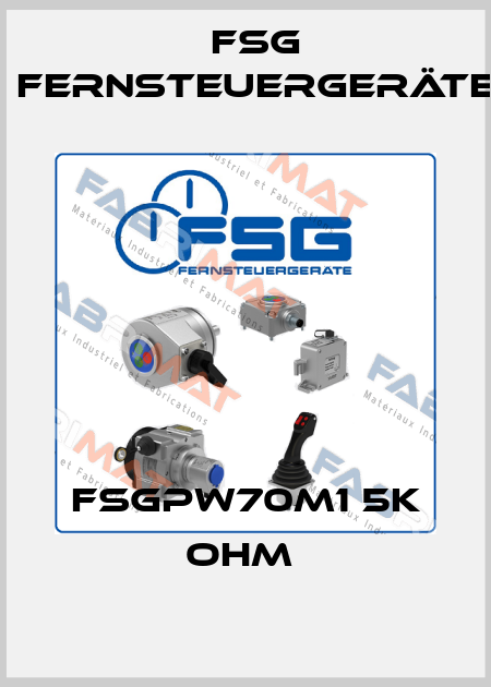 FSGPW70M1 5K OHM  FSG Fernsteuergeräte