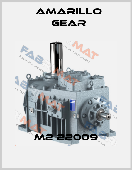 M2 22009 Amarillo Gear