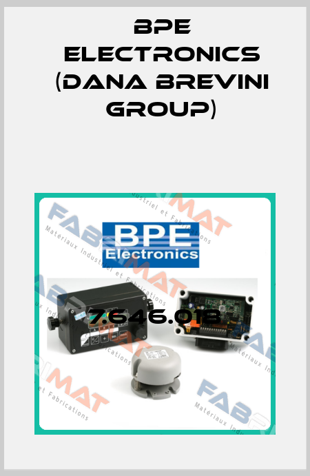 7.646.018 BPE Electronics (Dana Brevini Group)