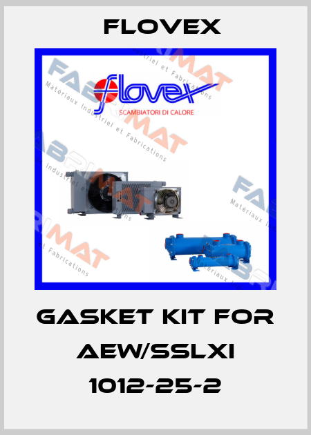 Gasket kit for AEW/SSLXI 1012-25-2 Flovex