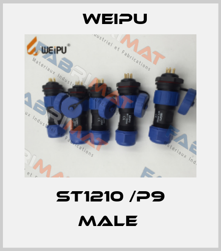 ST1210 /P9 MALE  Weipu