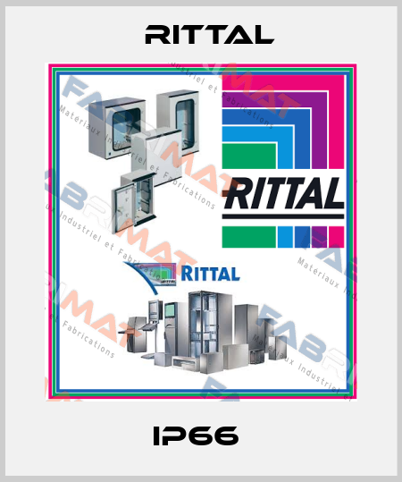 IP66  Rittal