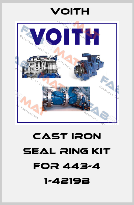 Cast iron seal ring kit for 443-4 1-4219B Voith