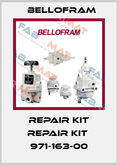Repair kit Repair kit  971-163-00 Bellofram