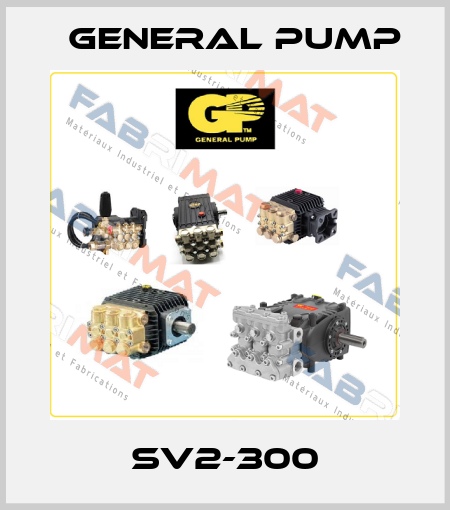 SV2-300 General Pump