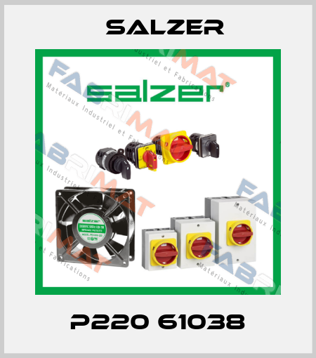 P220 61038 Salzer