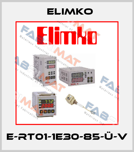 E-RT01-1E30-85-Ü-V Elimko