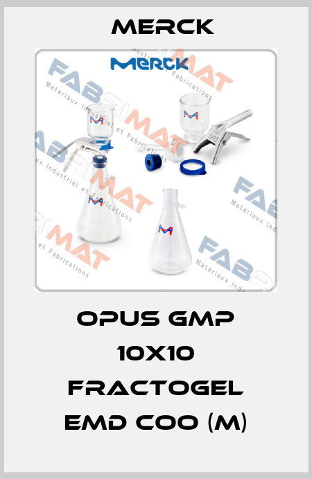OPUS GMP 10x10 Fractogel EMD COO (M) Merck