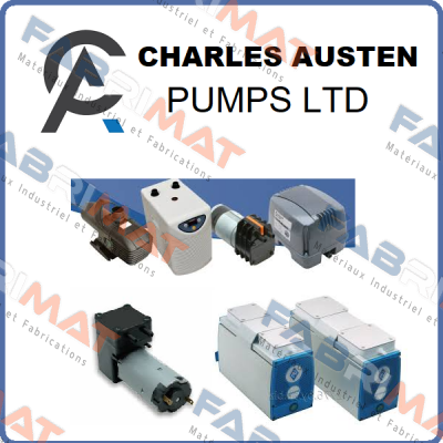 X37-002 Charles Austen Pumps