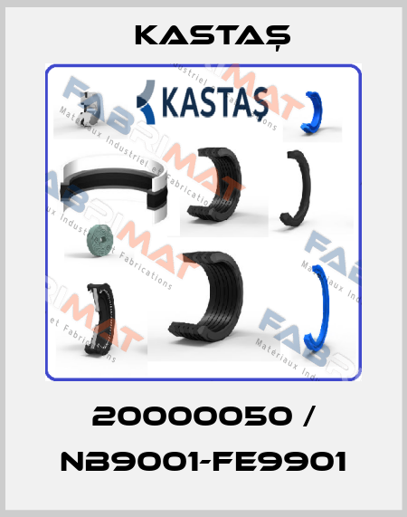 20000050 / NB9001-FE9901 Kastaş