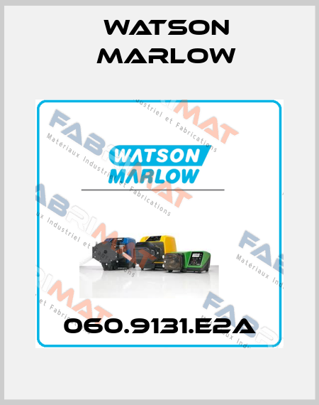 060.9131.E2A Watson Marlow