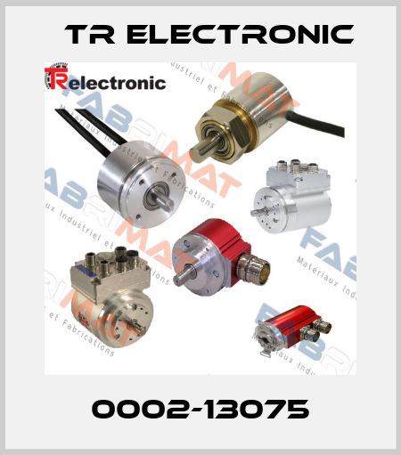0002-13075 TR Electronic