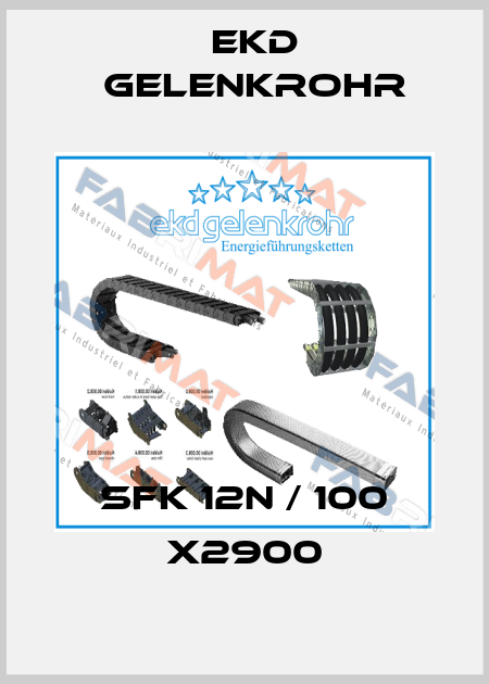SFK 12N / 100 x2900 Ekd Gelenkrohr