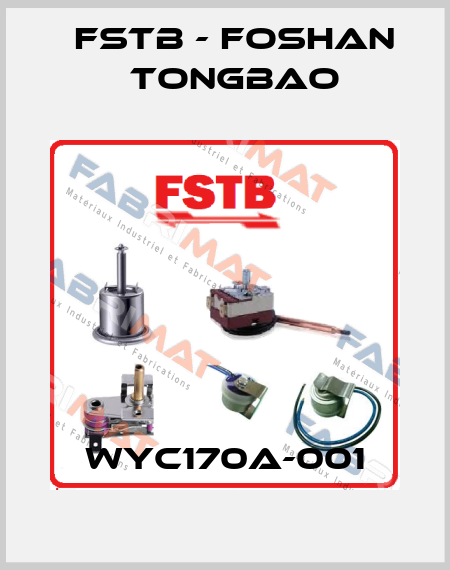 WYC170A-001 FSTB - Foshan Tongbao