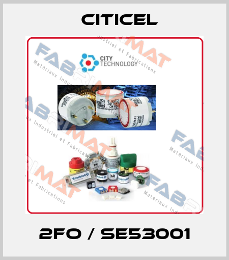 2FO / SE53001 Citicel