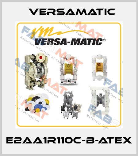 E2AA1R110C-B-ATEX VersaMatic