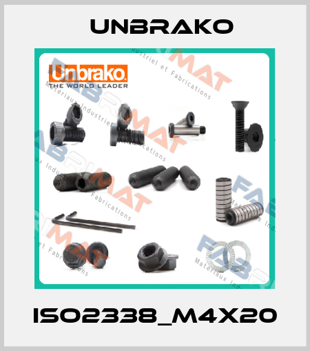 ISO2338_M4X20 Unbrako