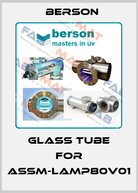 glass tube for ASSM-LAMP80V01 Berson