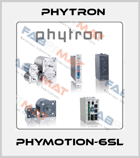 phyMOTION-6SL Phytron