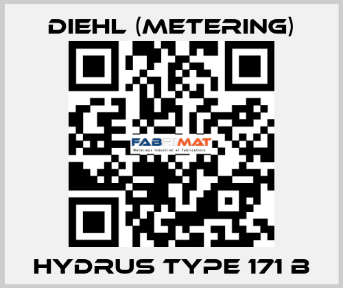 Hydrus Type 171 B Diehl (Metering)