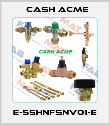 E-55HNFSNV01-E Cash Acme