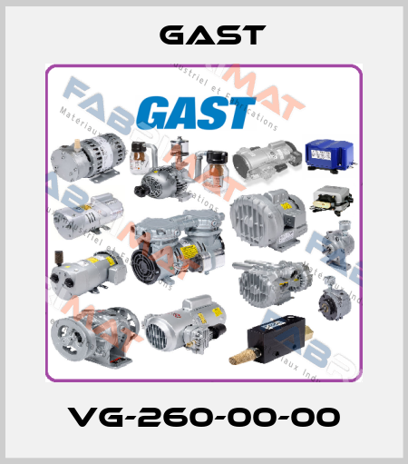 VG-260-00-00 Gast
