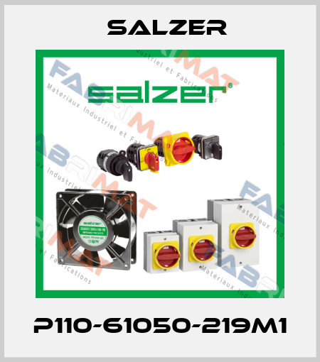 P110-61050-219M1 Salzer