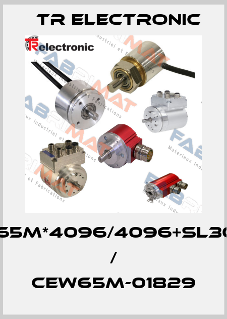 EW65M*4096/4096+SL3005 / CEW65M-01829 TR Electronic