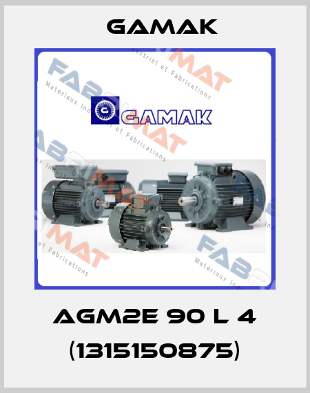 AGM2E 90 L 4 (1315150875) Gamak